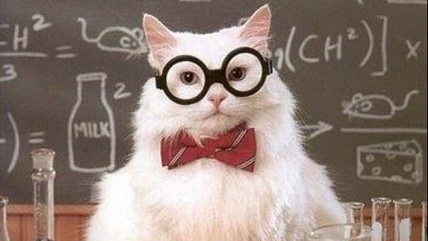 Chemistry cat meme